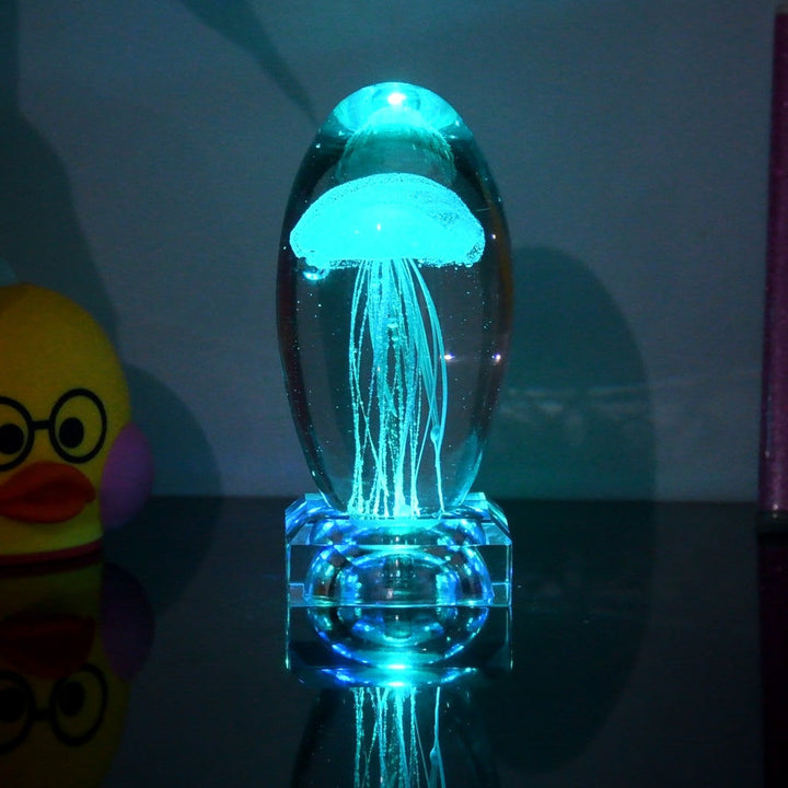 Fargeendrene Maneter Nattlampe | Luvikno
