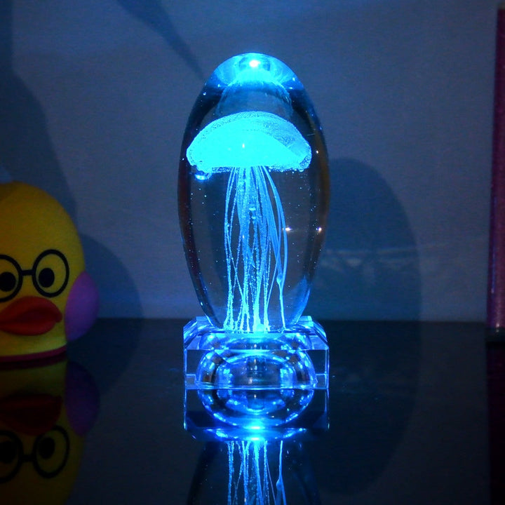 Fargeendrene Maneter Nattlampe | Luvikno