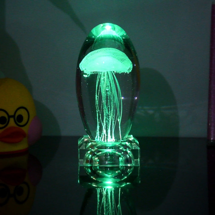 Fargeendrene Maneter Nattlampe | Luvikno