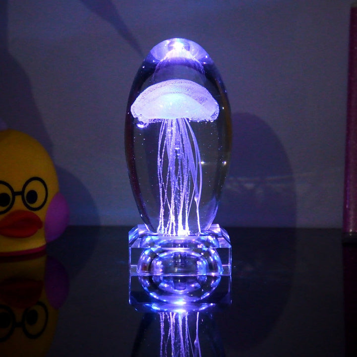 Fargeendrene Maneter Nattlampe | Luvikno
