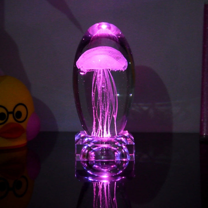 Fargeendrene Maneter Nattlampe | Luvikno