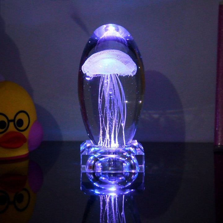 Fargeendrene Maneter Nattlampe | Luvikno