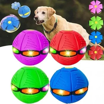 Hundelek Interaktiv Gummiflygende Disk Ball Luvikno