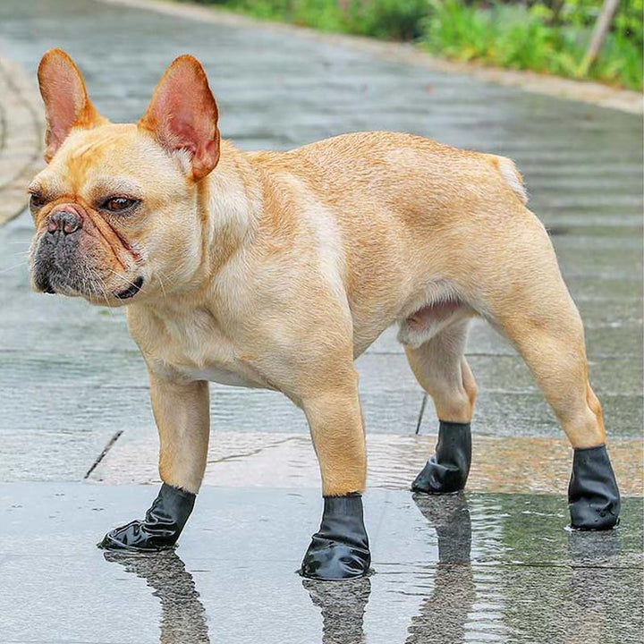 Luvikno | PootShield Vanntette Hundesko med Grip og Beskyttende Komfort
