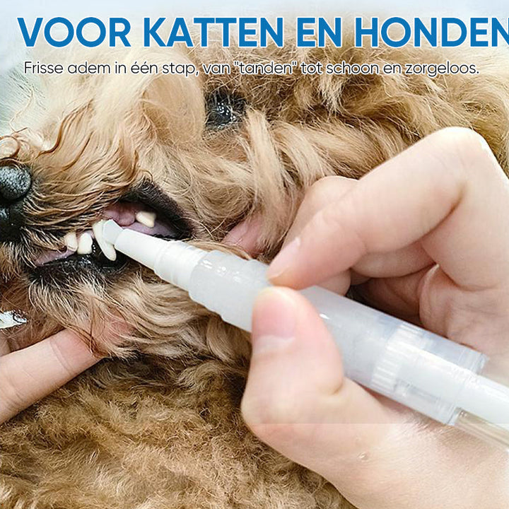Pet Toothbrush Pen – PetSmile Luvikno
