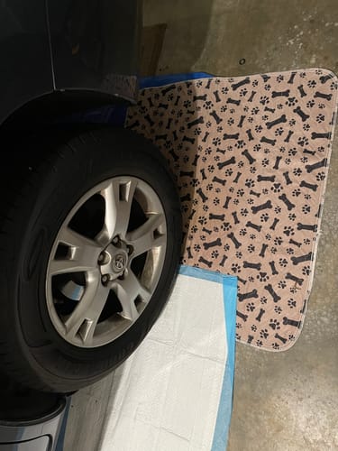 PetPaws Comfort Mat – Lekkasjefri Kjæledyrmatte Luvikno