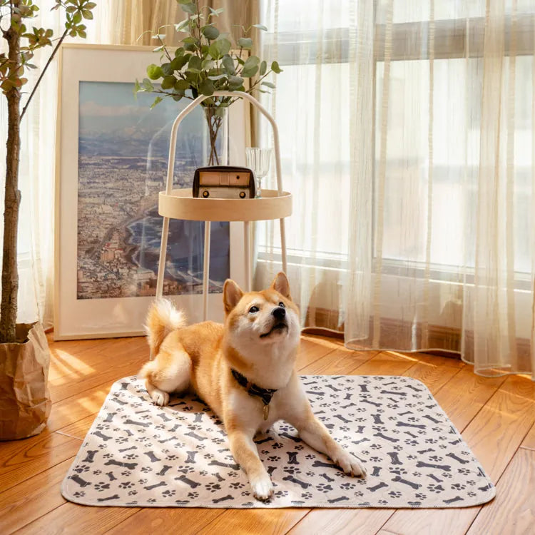 PetPaws Comfort Mat – Lekkasjefri Kjæledyrmatte Luvikno