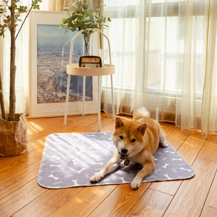 PetPaws Comfort Mat – Lekkasjefri Kjæledyrmatte Luvikno