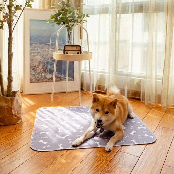 PetPaws Comfort Mat – Lekkasjefri Kjæledyrmatte Luvikno