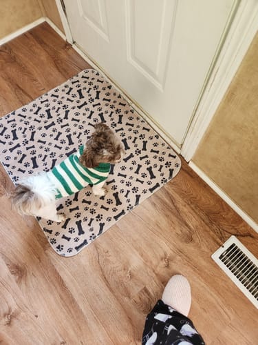 PetPaws Comfort Mat – Lekkasjefri Kjæledyrmatte Luvikno