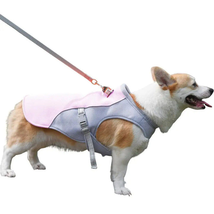 Hund Küling Vest for Utendørs Aktiviteter | Luvikno