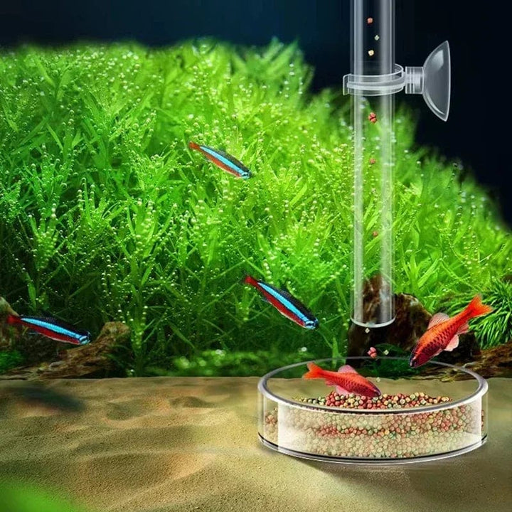 Akryl Akvarium Fôr Tub Skål Transparent Fiskebolle Reker Snegle Reker Mat Fôr Skål Akvarium Fôrtilbehør | Luvikno