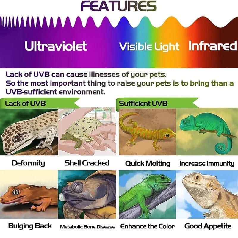 2 stk fluorescerende fargeforandringskort rept belysning UVA UVB tester testkort for rask deteksjon av UVB amfibielampe | Luvikno
