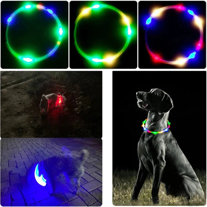 3 Modus Hund Luminøs Lading Halsbånd Led Usb Katt Silikon Fargerikt Halsbånd Avtakbar Natt Glød Kjæledyr Tap Forebygging Hund Tilbehør | Luvikno