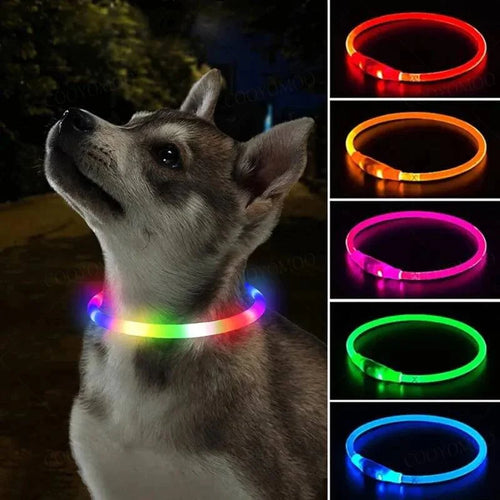 3 Modus Hund Luminøs Lading Halsbånd Led Usb Katt Silikon Fargerikt Halsbånd Avtakbar Natt Glød Kjæledyr Tap Forebygging Hund Tilbehør | Luvikno
