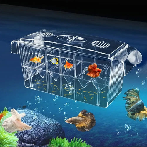 Akvarium Avls Incubator Isolasjon Boks Dobbel Lag 4 Rom Transparent Akryl Selv Flytende Fisk Klokke Boks Fisk Tank | Luvikno