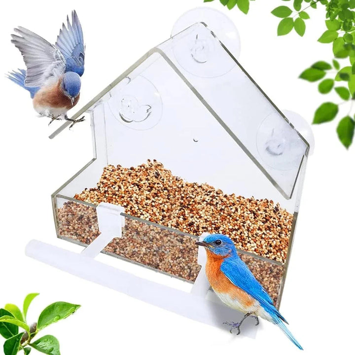 Acryl Klar Glass Vindu Bird Hanging Fôring Fuglehus Mat Fôring Hus Bord Frø Peanutt Sugekop | Luvikno
