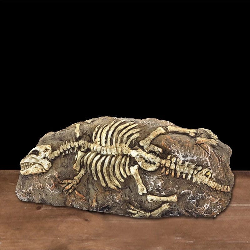 Dyr Skalle Fiskebowl Fossil Dinosaur Ornamenter Akvarium Nesehorn Bein Dekorasjon Fiskebolle Krokodille Manet Karpe Skilpadde | Luvikno