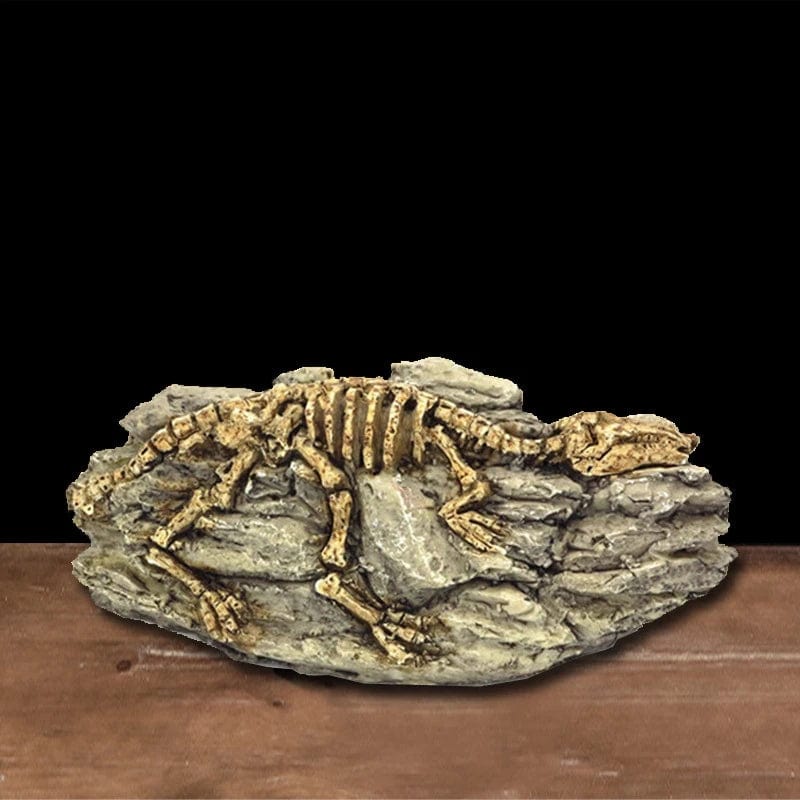 Dyr Skalle Fiskebowl Fossil Dinosaur Ornamenter Akvarium Nesehorn Bein Dekorasjon Fiskebolle Krokodille Manet Karpe Skilpadde | Luvikno