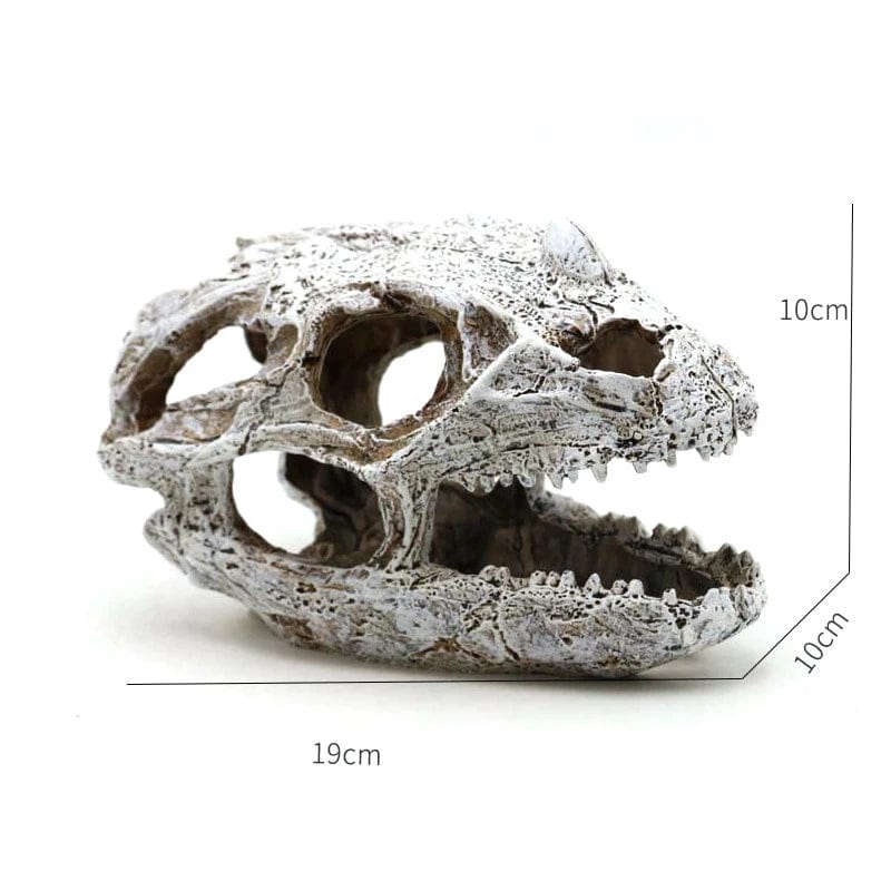 Dyr Skalle Fiskebowl Fossil Dinosaur Ornamenter Akvarium Nesehorn Bein Dekorasjon Fiskebolle Krokodille Manet Karpe Skilpadde | Luvikno