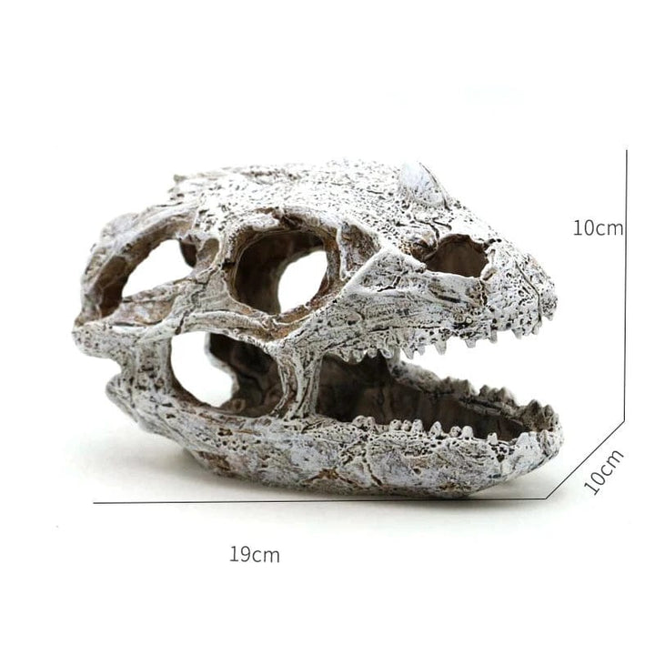 Dyr Skalle Fiskebowl Fossil Dinosaur Ornamenter Akvarium Nesehorn Bein Dekorasjon Fiskebolle Krokodille Manet Karpe Skilpadde | Luvikno