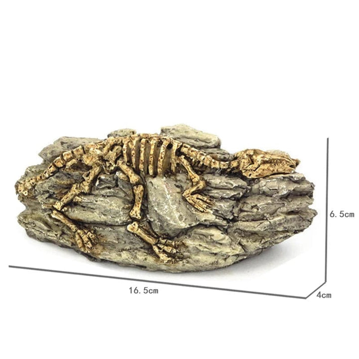 Dyr Skalle Fiskebowl Fossil Dinosaur Ornamenter Akvarium Nesehorn Bein Dekorasjon Fiskebolle Krokodille Manet Karpe Skilpadde | Luvikno
