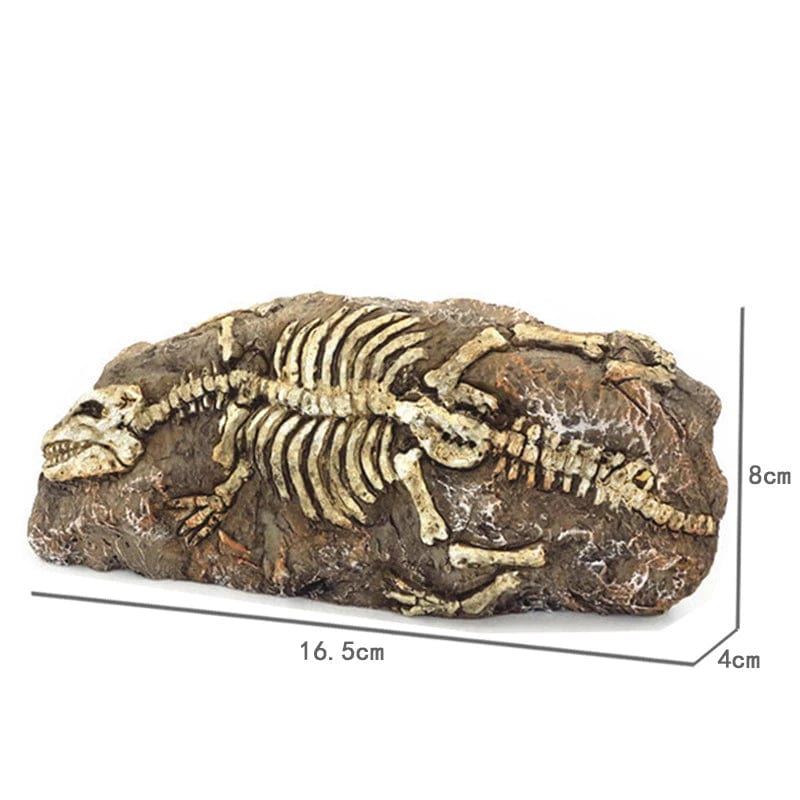 Dyr Skalle Fiskebowl Fossil Dinosaur Ornamenter Akvarium Nesehorn Bein Dekorasjon Fiskebolle Krokodille Manet Karpe Skilpadde | Luvikno