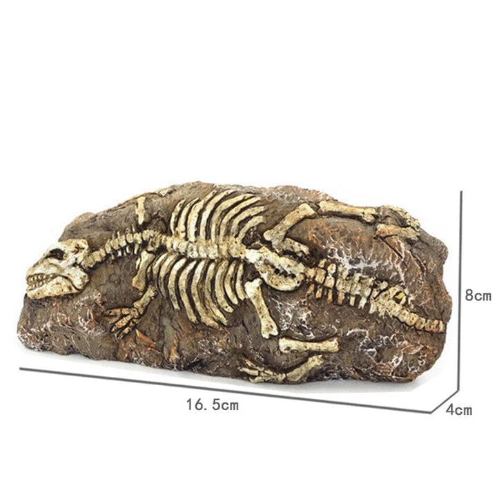 Dyr Skalle Fiskebowl Fossil Dinosaur Ornamenter Akvarium Nesehorn Bein Dekorasjon Fiskebolle Krokodille Manet Karpe Skilpadde | Luvikno