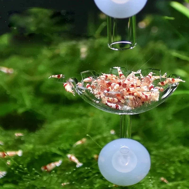 Reke-fôringsskål Reke-fôringsskål Akvarium Fisketank Reke-matbolle Fôring Klar glass Fôringsrørskål Sugeutstyr | Luvikno