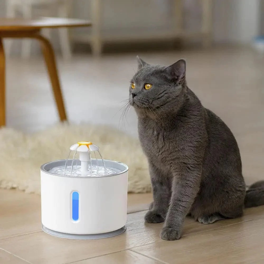 Automatisk kjæledyr katt vannanlegg med LED-belysning 5 pakke filtre 2.4L USB hunder katter stille drikker matingskål drikkedispenser | Luvikno