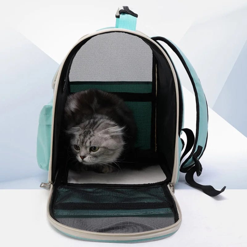 Kattetransportposer Vindbestandig Utendørs Reise Ryggsekk for Katt Små Hunder Transport Bæreveske Katt Ryggsekker med Pute | Luvikno