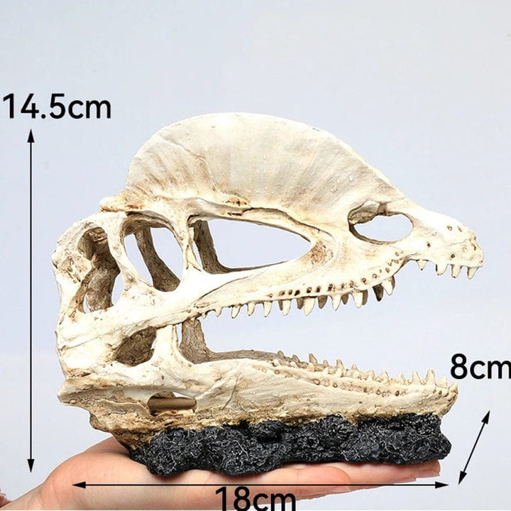 Dyr Skalle Fiskebowl Fossil Dinosaur Ornamenter Akvarium Nesehorn Bein Dekorasjon Fiskebolle Krokodille Manet Karpe Skilpadde | Luvikno