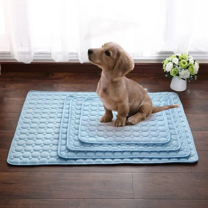 Hund Kjølematte Sommerpute for Hunder Kattteppe Pustende Hundefe Telt Valp Sove Sofa Pute Hunde Tilbehør | Luvikno