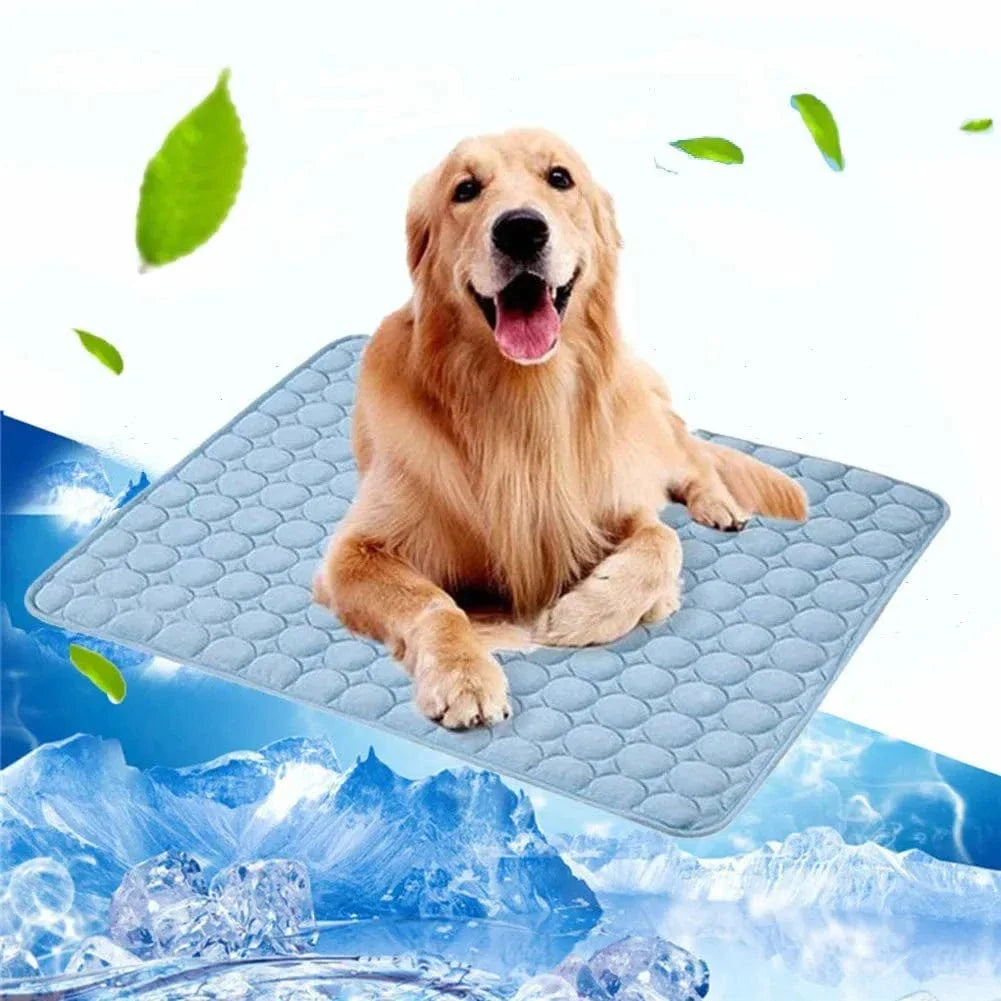 Hund Kjølematte Sommerpute for Hunder Kattteppe Pustende Hundefe Telt Valp Sove Sofa Pute Hunde Tilbehør | Luvikno