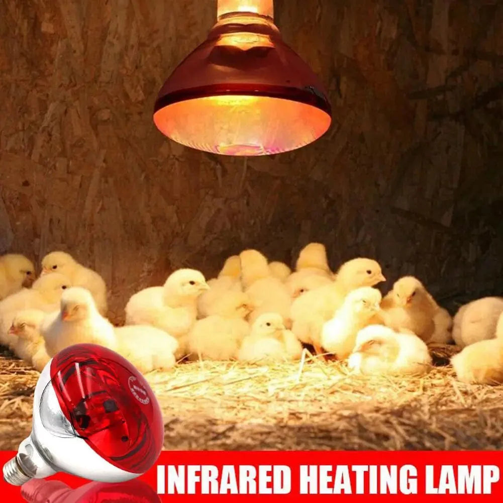 Farm Thermal Light Preservation Reptile Habitat Lights Chicken Infrared Heater Light Infrared Lamp Hatch Heating Chick Lamp | Luvikno