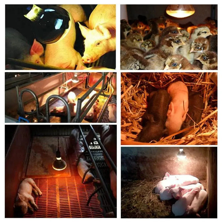 Farm Thermal Light Preservation Reptile Habitat Lights Chicken Infrared Heater Light Infrared Lamp Hatch Heating Chick Lamp | Luvikno