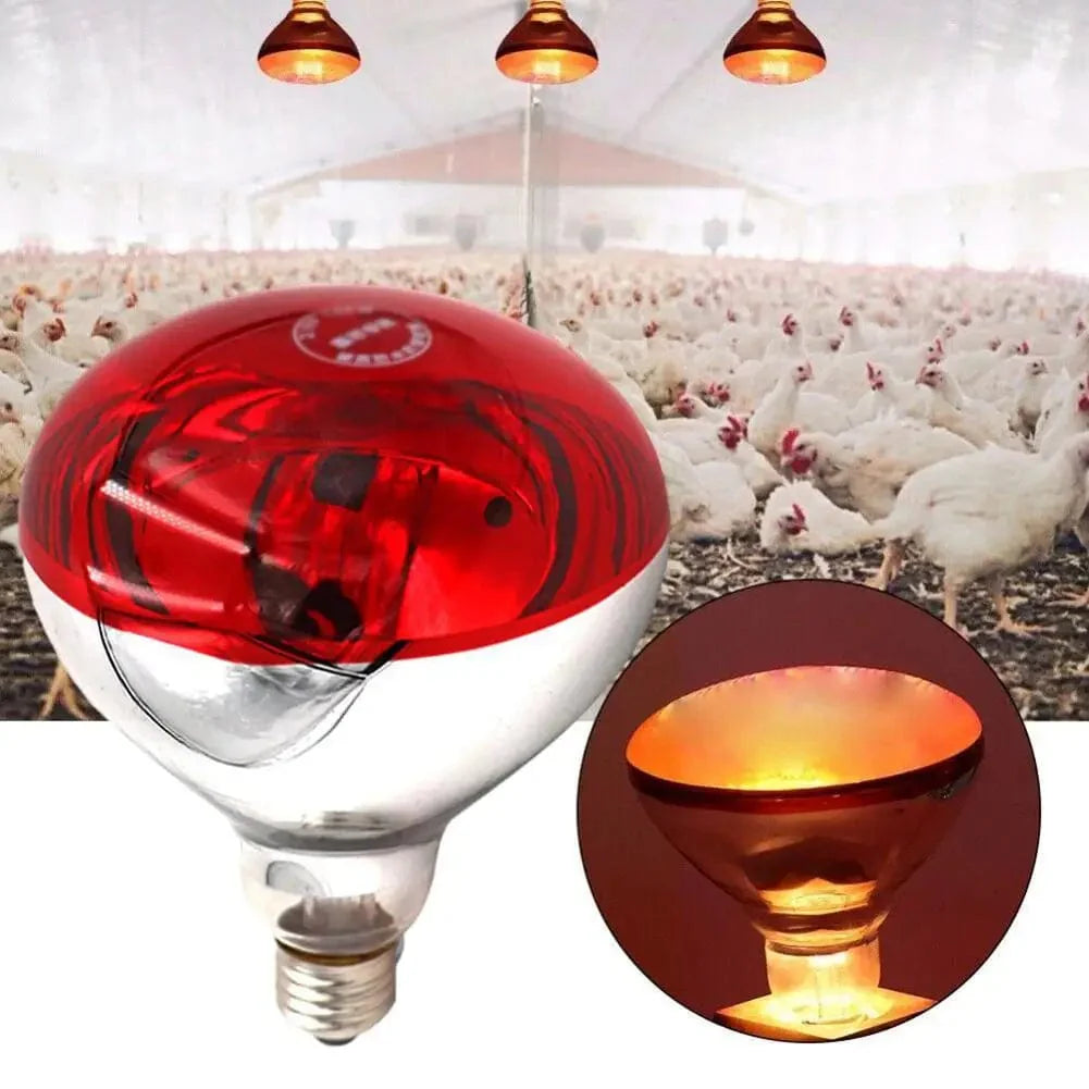 Farm Thermal Light Preservation Reptile Habitat Lights Chicken Infrared Heater Light Infrared Lamp Hatch Heating Chick Lamp | Luvikno