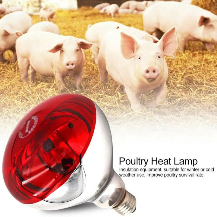 Farm Thermal Light Preservation Reptile Habitat Lights Chicken Infrared Heater Light Infrared Lamp Hatch Heating Chick Lamp | Luvikno