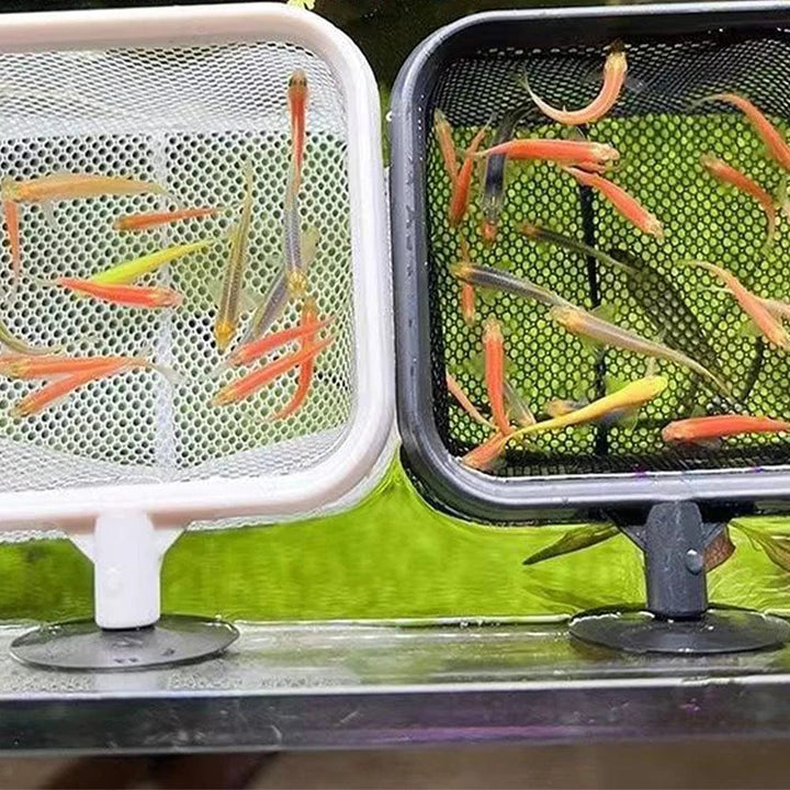 Fiske landing nett rustfritt korrosjonsbestandig rustfritt stål fiske nett for å fange fisk reke tank akvarium tilbehør | Luvikno