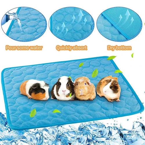 Guinea Pig Bur Mats Sommer Liten Dyr Kjølematte Pustende Hamster Tiss Pad for Kaninbur Chinchilla Pigger Kæledyr Artikel | Luvikno