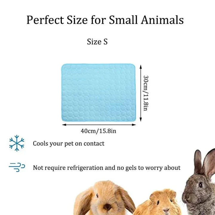 Guinea Pig Bur Mats Sommer Liten Dyr Kjølematte Pustende Hamster Tiss Pad for Kaninbur Chinchilla Pigger Kæledyr Artikel | Luvikno