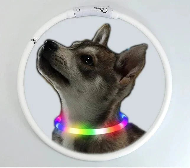 3 Modus Hund Luminøs Lading Halsbånd Led Usb Katt Silikon Fargerikt Halsbånd Avtakbar Natt Glød Kjæledyr Tap Forebygging Hund Tilbehør | Luvikno