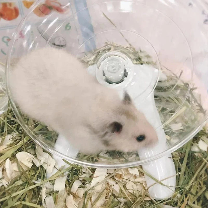 Pet Hamster Løpehjul Stille Flygende Tallerken Stålaksel Hjul Løpedisk Leker Bur Lite Dyr Hamster Tilbehør | Luvikno