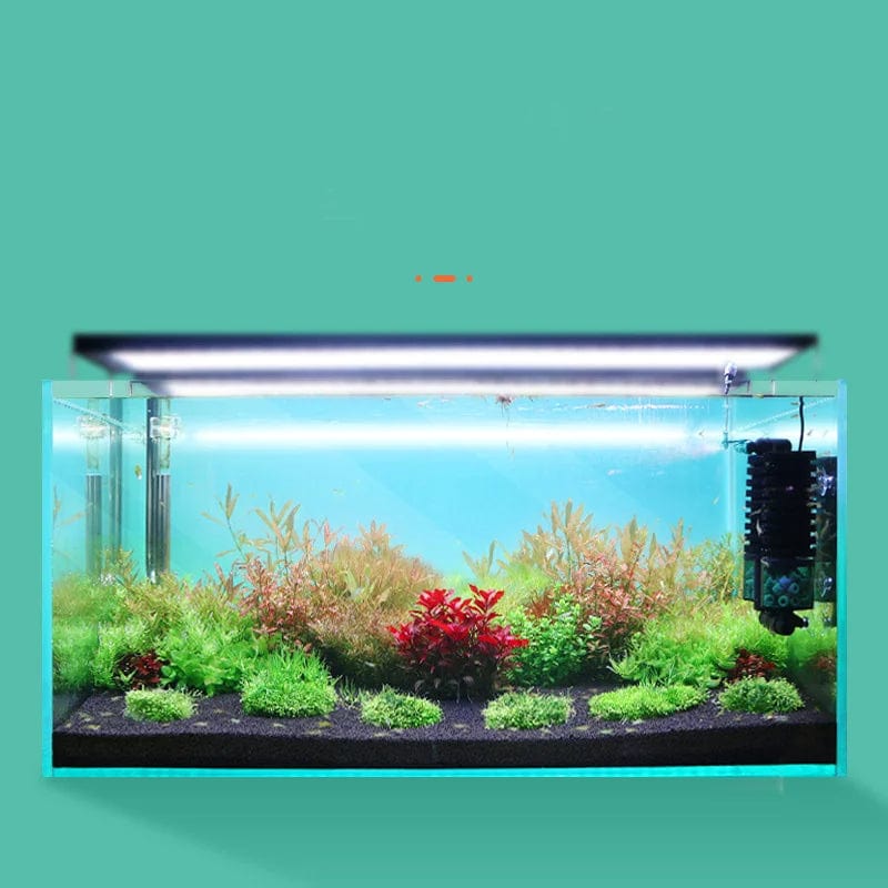 Qanvee Elektrisk Vannsvamp USB Renseanlegg Biologisk Oksygen Fisketank Filter Skum Akvarietilbehør Filtro Utstyr Varer | Luvikno