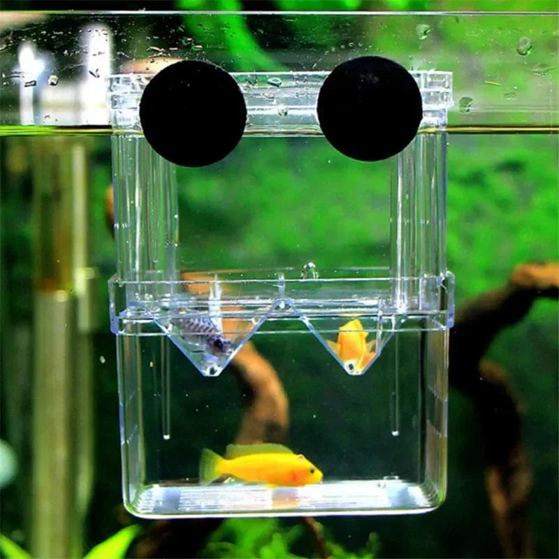 S/L/XL Akvarium Akril Dobbel-Däck Klar Fisk Avlusing Isolasjonsboks Akvarium Avler Fisk Klegg Divider Reker Fisk Skadet | Luvikno