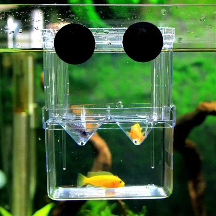 S/L/XL Akvarium Akril Dobbel-Däck Klar Fisk Avlusing Isolasjonsboks Akvarium Avler Fisk Klegg Divider Reker Fisk Skadet | Luvikno