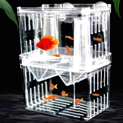 S/L/XL Akvarium Akril Dobbel-Däck Klar Fisk Avlusing Isolasjonsboks Akvarium Avler Fisk Klegg Divider Reker Fisk Skadet | Luvikno