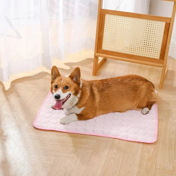 Sommerkjøling Pet Mat Gel Ice Pad for hunder katter Pustende myk kennel seng Antiskli varmt vær kjølig padde dyreforsyninger | Luvikno
