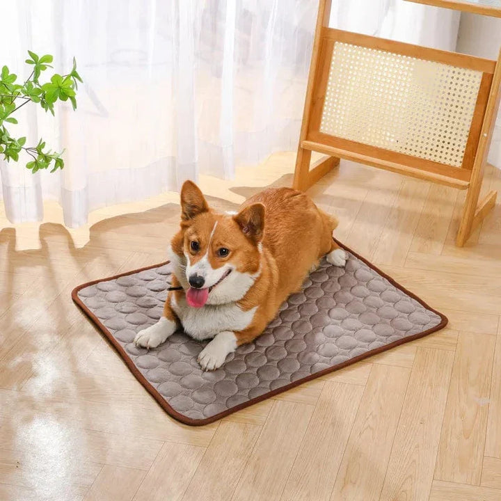 Sommerkjøling Pet Mat Gel Ice Pad for hunder katter Pustende myk kennel seng Antiskli varmt vær kjølig padde dyreforsyninger | Luvikno