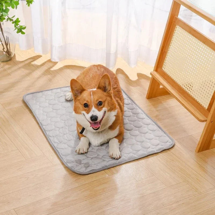 Sommerkjøling Pet Mat Gel Ice Pad for hunder katter Pustende myk kennel seng Antiskli varmt vær kjølig padde dyreforsyninger | Luvikno